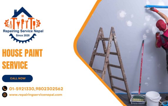 Wall and ceiling repair
