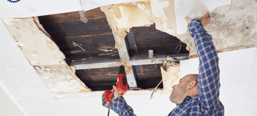 ceiling repair near me