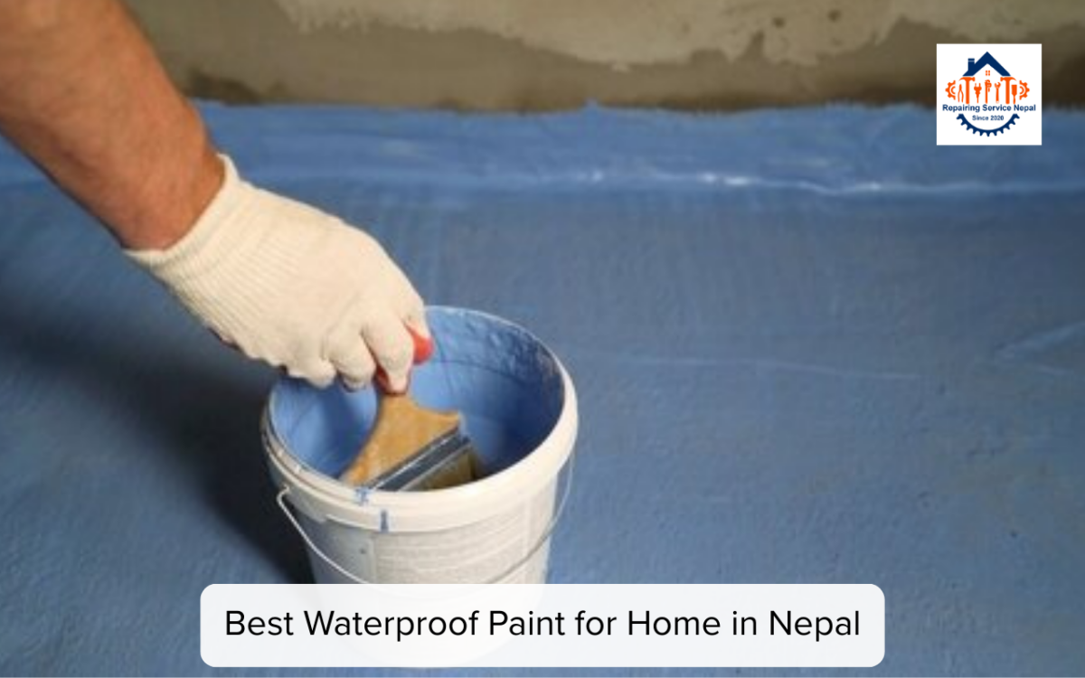 repairing service nepal waterproof paint in Nepal