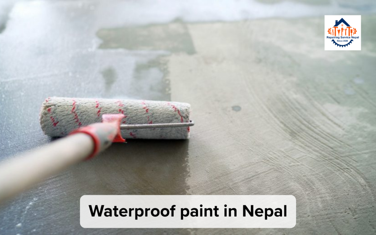 repairing service nepal waterproof paint in Nepal