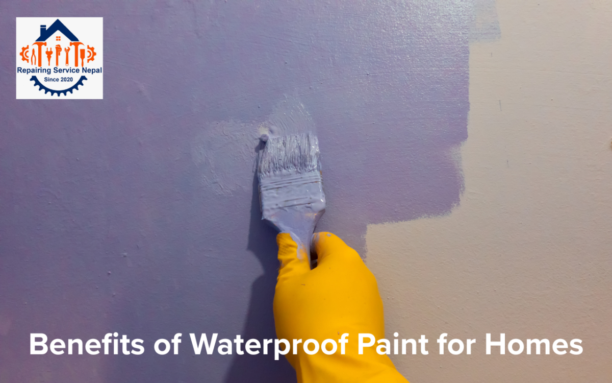 repairing service nepal waterproof paint in kathmandu